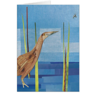 American Bittern Cards