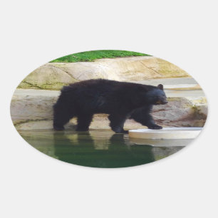 American Black Bear #1-2 Stickers