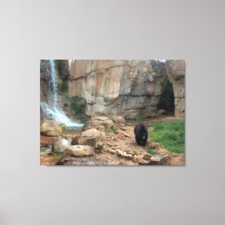 American Black Bear Canvas Print