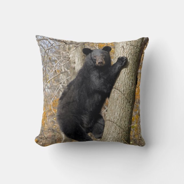 American Black Bear Climbing Tree pillow (Front)