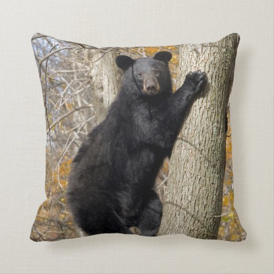 American Black Bear Climbing Tree Pillow Zazzle Com