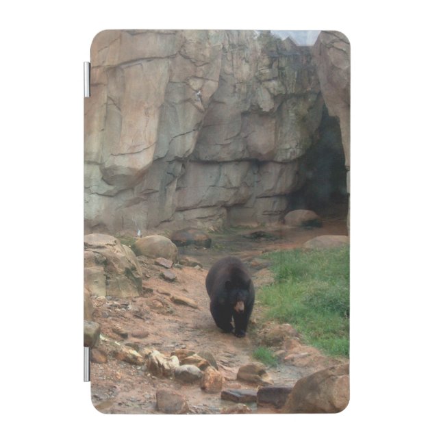 American Black Bear iPad Cover (Front)