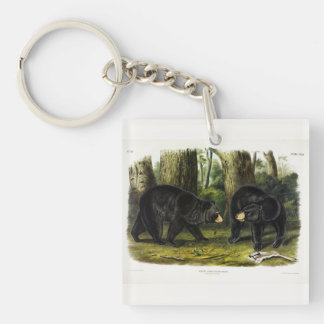 American Black Bear (Ursus Americanus) by Audubon Keychain