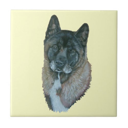 American black face akita dog portrait tile