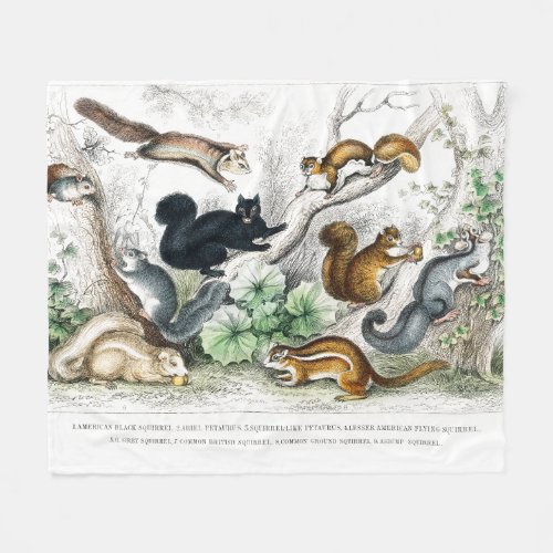 American Black Squirrel Ariel Petaurus Squirrel Fleece Blanket