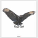 American Black Vulture