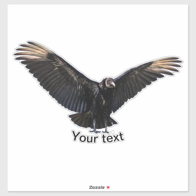 American Black Vulture Sticker (Sheet)
