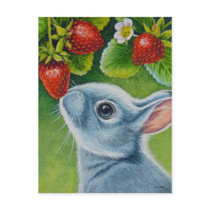 American Blue Rabbit & Strawberries Watercolor Art Postcard