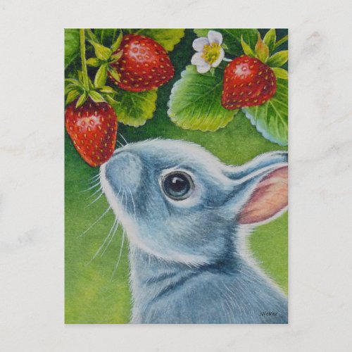 American Blue Rabbit  Strawberries Watercolor Art Postcard
