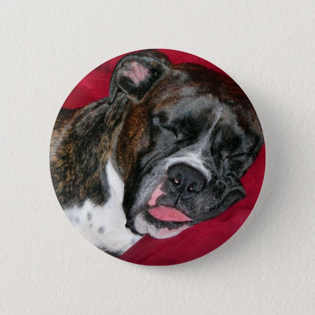 American Boxer Button (Front)
