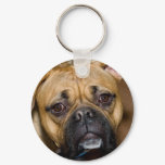 American Boxer Keychain