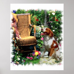 American Brittany Spaniel Art Print