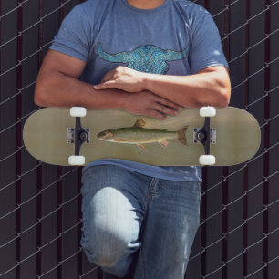 American Brook Trout Fish Vintage Fishing Art Skateboard