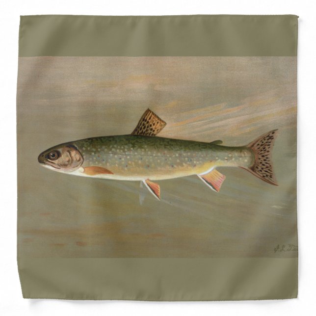 American Brook Trout Fish Vintage Illustration Bandana (Front)