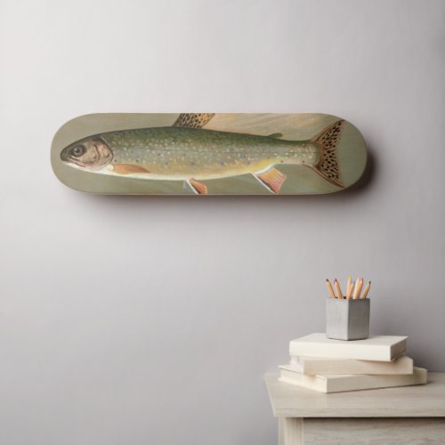 American Brook Trout Fish Vintage Illustration Skateboard