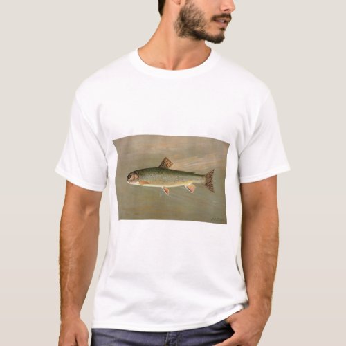 American Brook Trout Fish Vintage Illustration T_Shirt