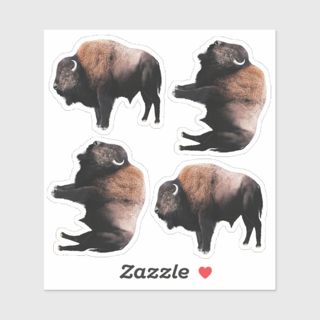 American Brown Buffalo Sticker (Sheet)