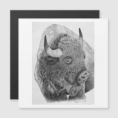 American Buffalo (Front/Back)