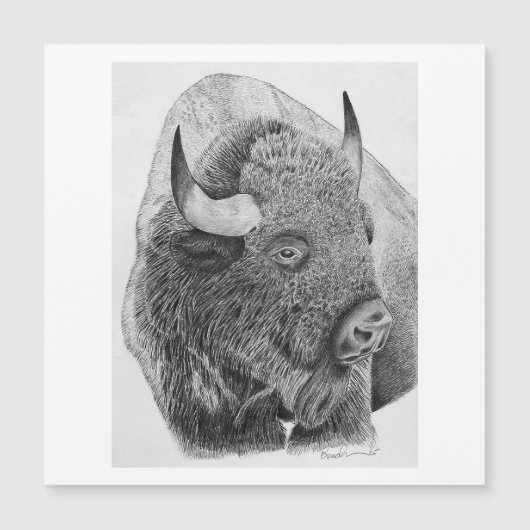 American Buffalo (Front)