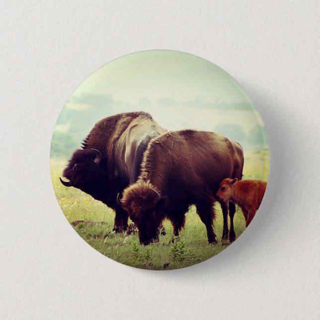 American Buffalo (Bison) Family  Button (Front)