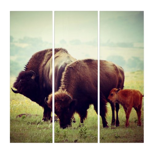 American Buffalo Bison Family  Triptych