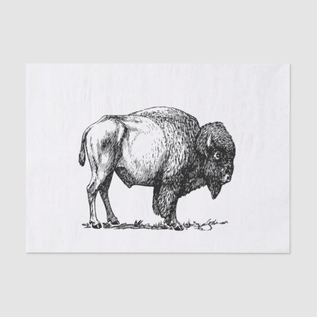 American Buffalo Bison Tissue Paper (Front)