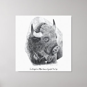 American Buffalo Canvas Print