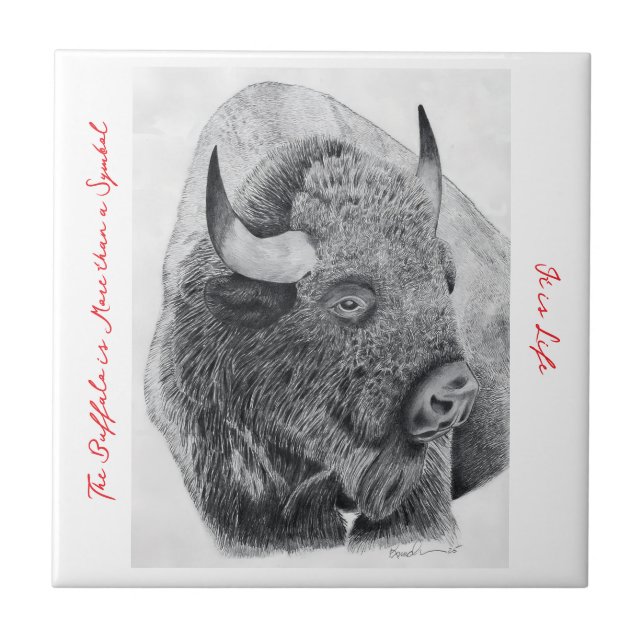 American Buffalo Ceramic Tile (Front)