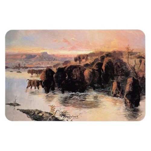 American Buffalo Herd Magnet