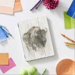 American Buffalo I iPad Pro Cover<br><div class="desc">American Buffalo I by Ethan Harper</div>