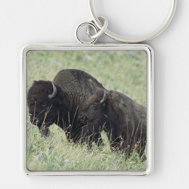 American Buffalo Keychain (Front)