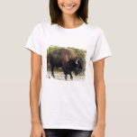 American Buffalo Ladies Fitted T-Shirt