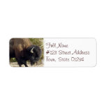 American Buffalo Return Address Label