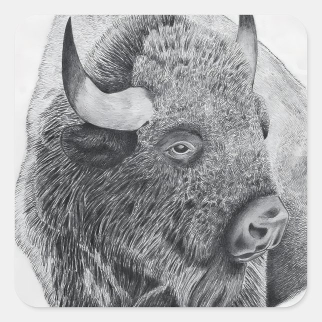 American Buffalo Square Sticker (Front)
