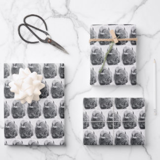 American Buffalo Wrapping Paper Sheets