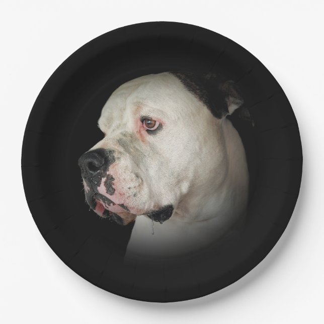 American Bull Dog Portrait Paper Plates (Front)