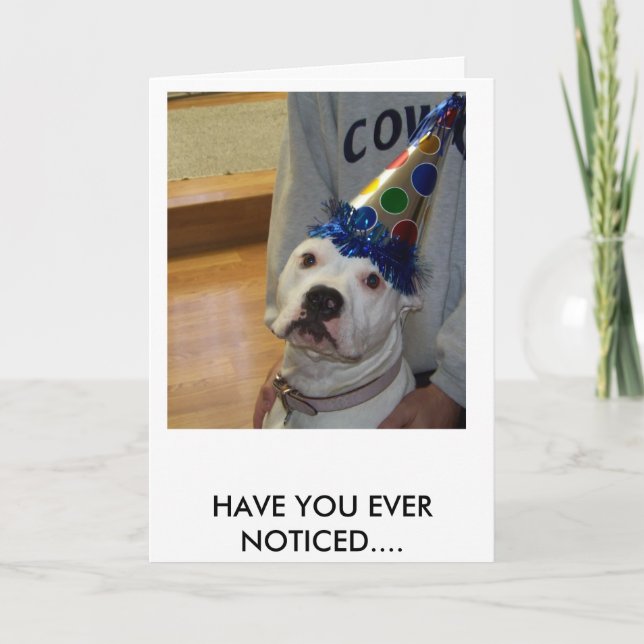 american bulldog birthday card (Front)