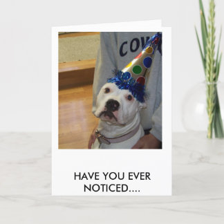 american bulldog birthday card