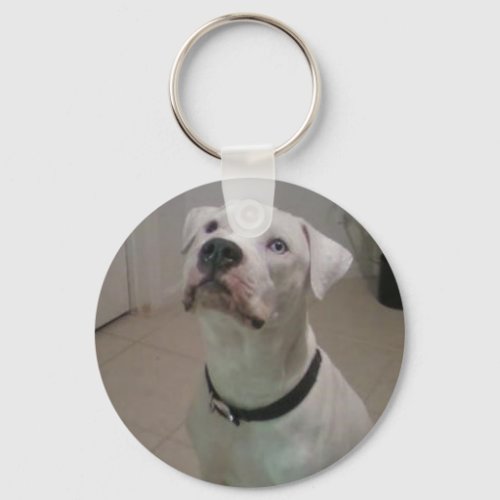 American bulldog keychain