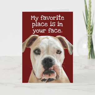 American Bulldog No Bull Father's Day Card