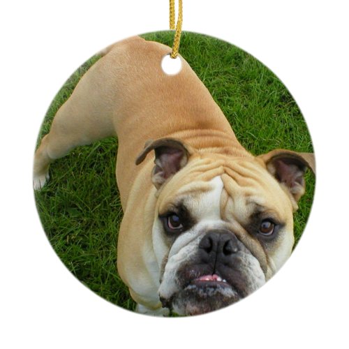 American Bulldog Ornament
