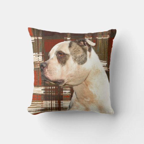 American Bulldog Plaid Pillow