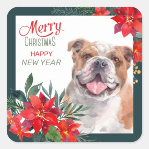 American Bulldog Poinsettia Border Christmas Square Sticker