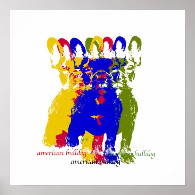American bulldog poster (Front)