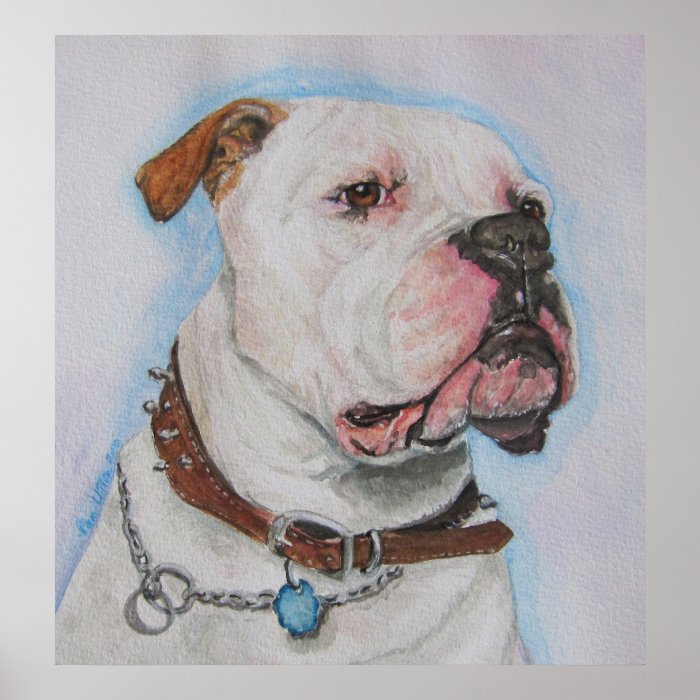 American Bulldog Poster