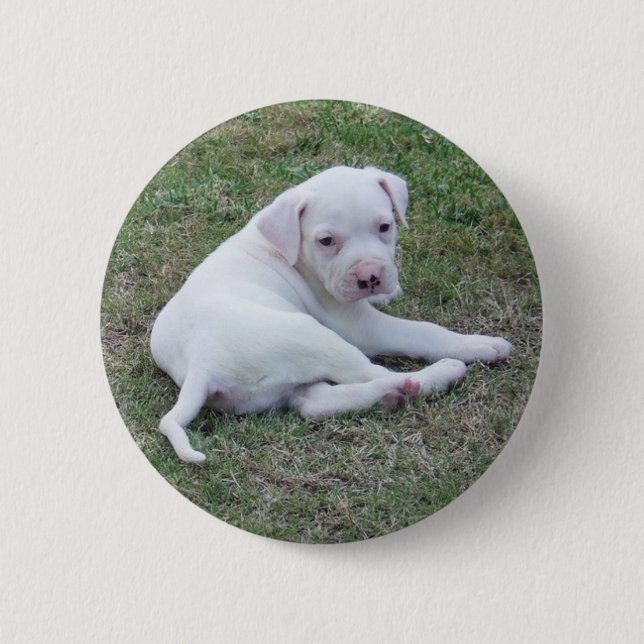 American Bulldog Puppy Button (Front)