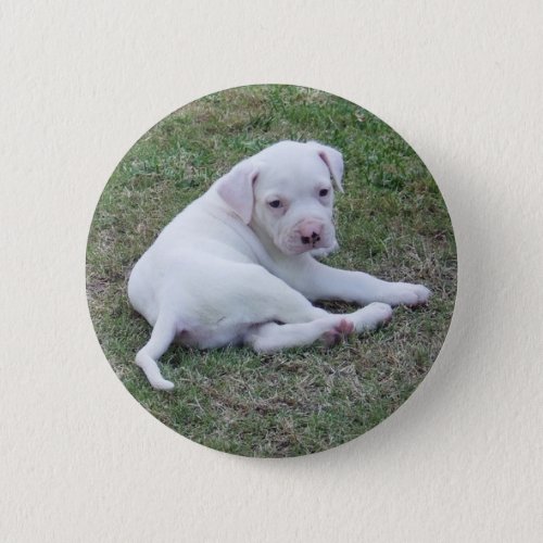 American Bulldog Puppy Button