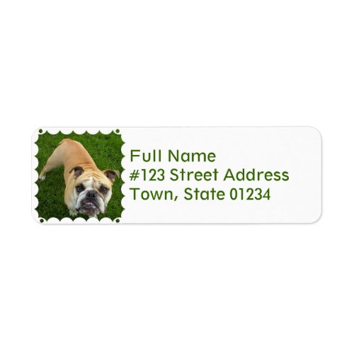American Bulldog Return Address Label