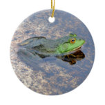 American Bullfrog in Acadia Ceramic Ornament