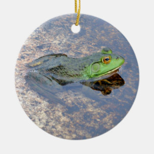 American Bullfrog in Acadia Ceramic Ornament